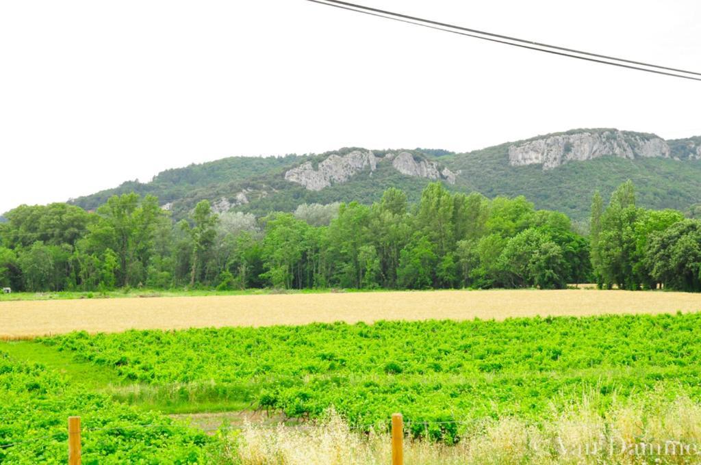 Gites Du Domaine Des Dames ヴァロン・ポン・ダルク エクステリア 写真